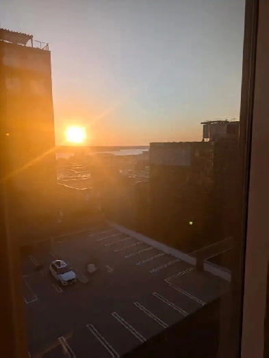 apartment looking for roomate Image# 5