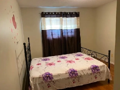 Sharing room with punjabi female Image# 1