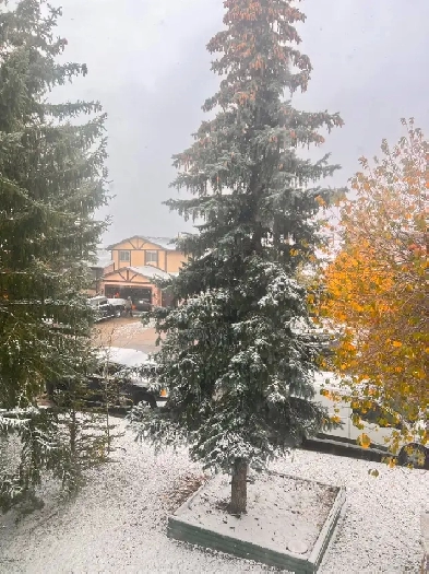 Single Room For Female or Young Couples with Covered Parking Image# 1