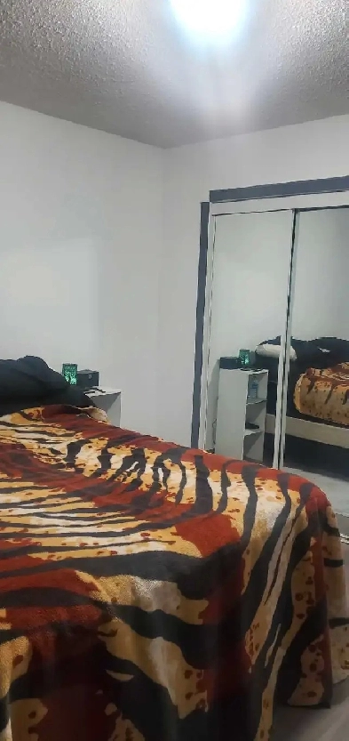 Rooms for Rent Image# 1