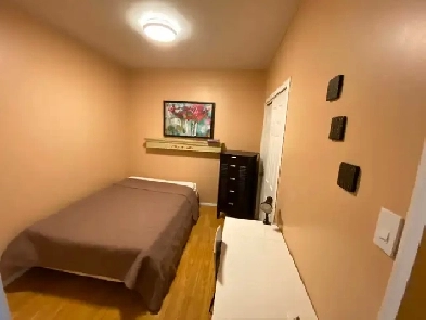 Belle et grande chambre pour étudiant - métro Papineau Image# 1