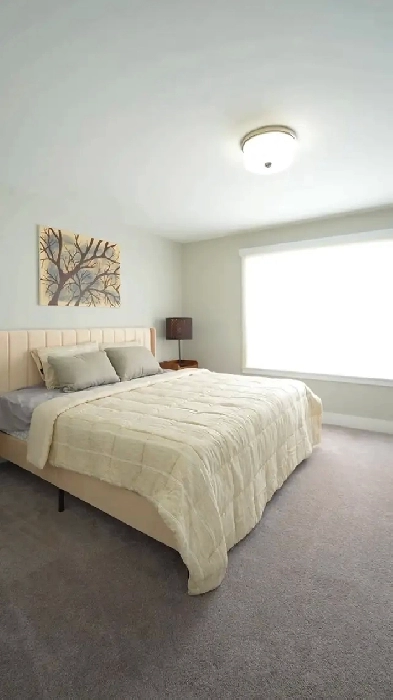 Master Bedroom for Rent Image# 1