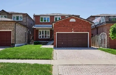 one bedroom basement apartment Steeles/Birchmount $1400 Image# 1