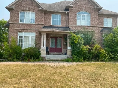 Rooms for Rent @ Morningside &Staines on 2nd floor Image# 1