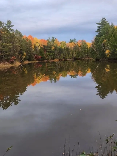 WATERFRONT  ACRES  Route 510 main river Image# 3