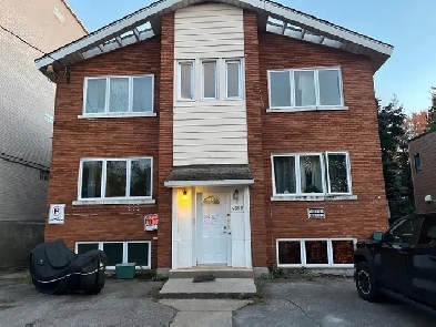 BRAND NEW STUDIO  APARTMENT Image# 1