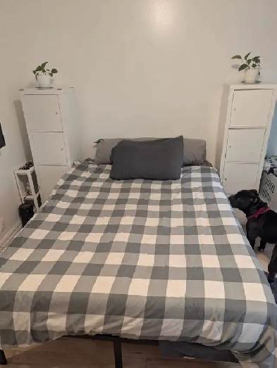 4 ½ Petite-Italie - 4 ½ Little Italy  Nov 1! Image# 1