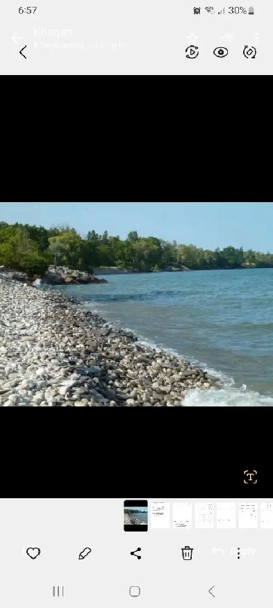 Beautiful Shared Room near Lake Ontario Image# 1