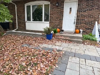 chambre a louer dans jolie maison Image# 1