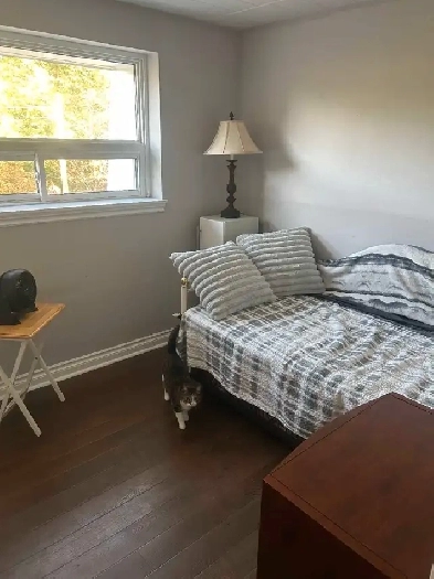 Room for rent 2 mins from Niagara College Image# 7