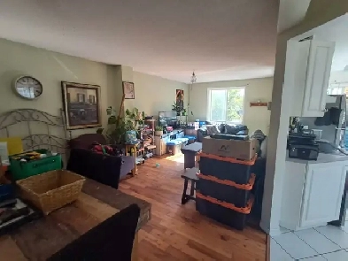 Full House for Rent - 459 Grand Trunk Ave, Kingston Image# 12