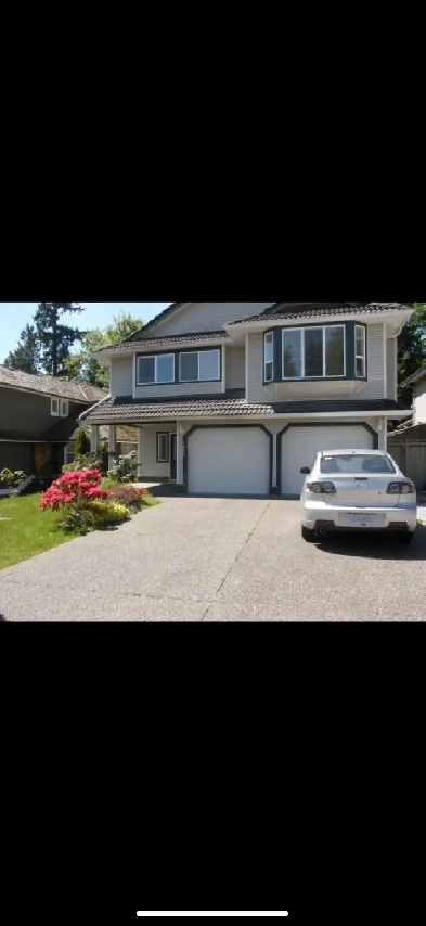 GROUND LEVEL BASEMENT SUIT Image# 1