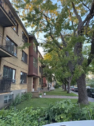 Apartment for rent Image# 1