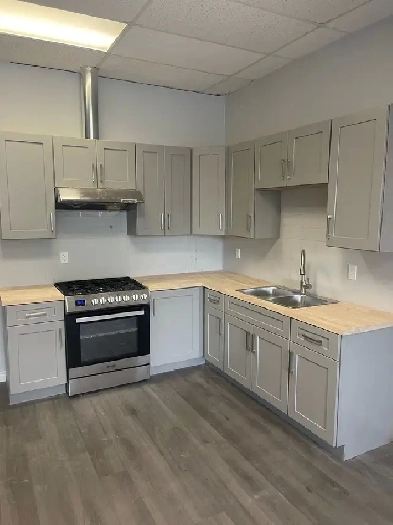 Barrier Free Studios/Bachelor for Rent Image# 3