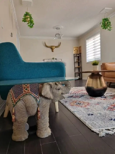 Furnished Clean 1 bed 1 bath in Doon South! Image# 1