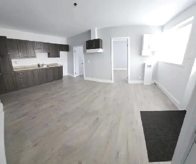 Logement / Loyer 4 1/2 rénové  N/C et N/É  Grand Mère Image# 6