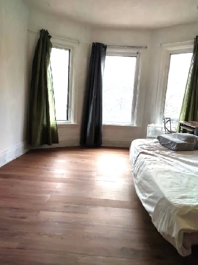 Room for Rent in Downtown Hamilton Image# 1