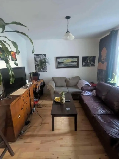 Private Room for Rent in 3-Bedroom Plateau Apartment Image# 1