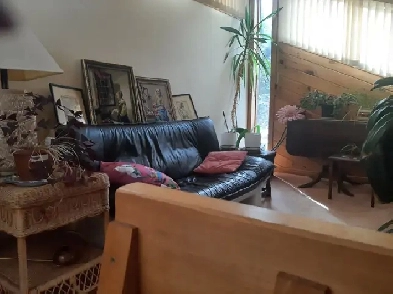 Downtown funished 3 bedrm.. onebedrm rental Image# 1