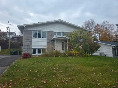 Chambre à louer Image# 5