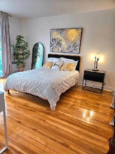 5 1/2 meuble Montreal près métro Université Image# 1