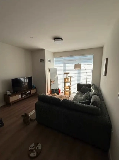 1 bedroom apartment for rent! Image# 1