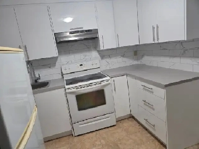 Basement for Rent Image# 1