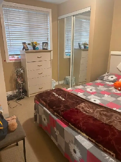 Sharing room available for 1 girl in 2-bedroom walkout basement Image# 4