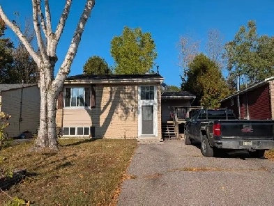 2 Bedroom apartment Image# 5