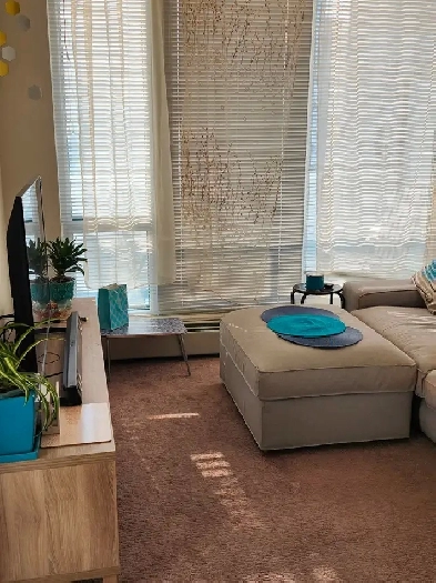 Downtown Calgary Condo for Sale Image# 9