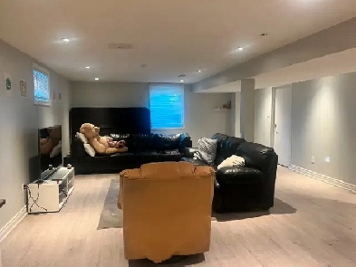 One room for rent in Walkout basement Image# 1