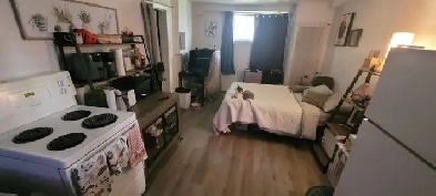 Studio à Louer Animaux acceptés Image# 1