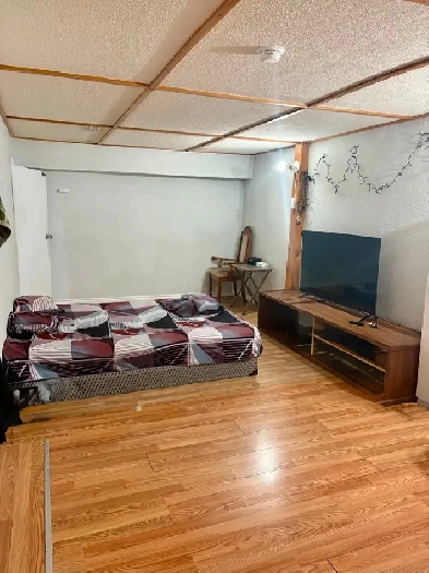 One bedroom basement Image# 1