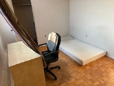 Spacious Room for Rent Image# 1