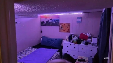 Basement room rental for a student/young professional Image# 1