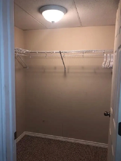 Basement for rent Image# 1