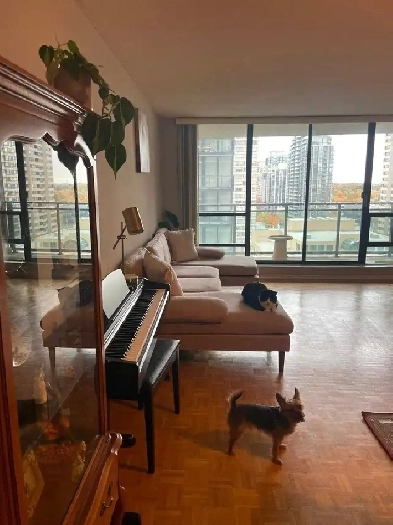 looking for a roommate Image# 1