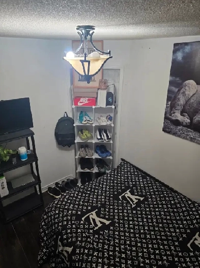 Room for Rent Image# 1