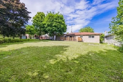 3 bedroom Basement for rent Oshawa North- Wilson Rd/Taunton Rd E Image# 1