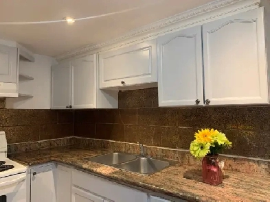 2 Bedroom basement - Walking distance to Square One Image# 1