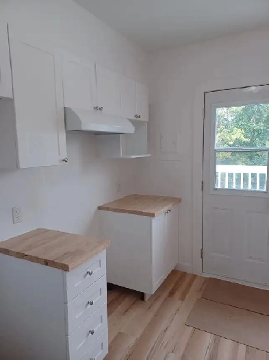 A louer Grand 3 1/2 entièrement rénové a Lemoyne (Quadruplex) Image# 1