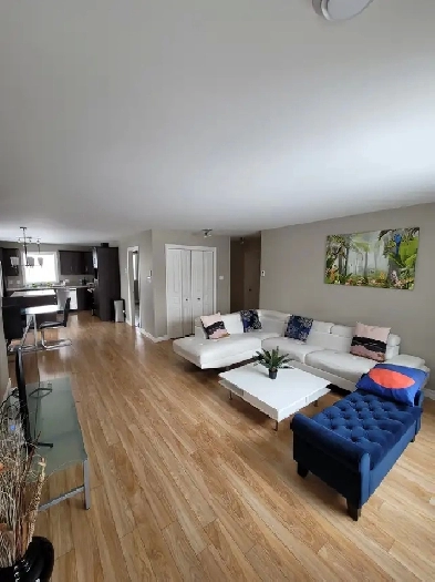 Grand et beau meublé, tous inclus 4 1/2 Image# 1