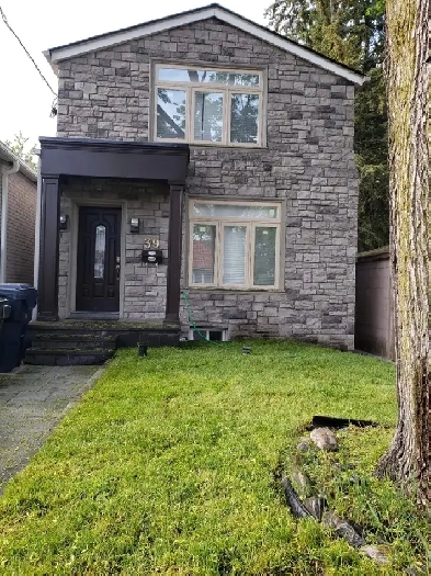 Independent Basement for  Rent $1200 for 1 person Near Downtown Image# 1