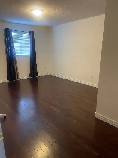 room available for rent from November 1st Image# 1