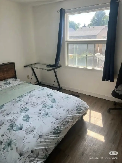 single room for rent warden steel access ttc easy Image# 1