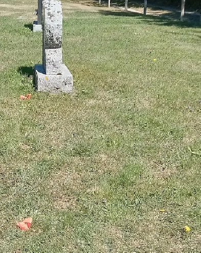 Pine Hill Cemetery, Chester  double plot Image# 3