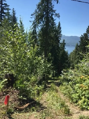 Shuswap lake lot Image# 3