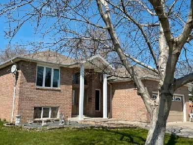 Rooms for rent in South Windsor Image# 8