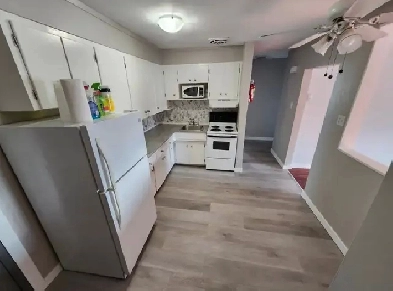 2 Bedroom 1 Bath Apartment Image# 1