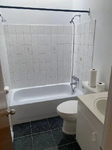 Grand 4 1/2 rue Cadillac à 5 min de l’hôpital Maisoneuve Image# 1